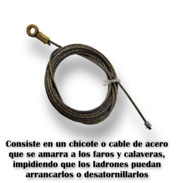 Asegurado de chicote - Image 2